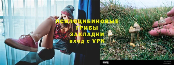 таблы Нея