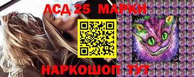 mdma Гатчина