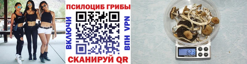 Галлюциногенные грибы Magic Shrooms  купить закладку  Александров 