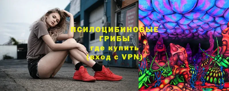 Псилоцибиновые грибы MAGIC MUSHROOMS  где продают наркотики  MEGA как войти  Александров 