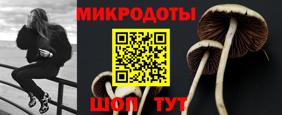 Галлюциногенные грибы MAGIC MUSHROOMS  купить  сайты  Александров  Вход с VPN  Галлюциногенные грибы MAGIC MUSHROOMS 