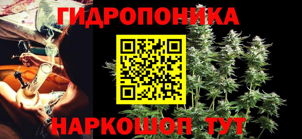 Гашиш Александров